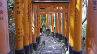 Kyoto, Japonya - 9 Nisan 2025: Fushimi Inari Tapınağı 'ndaki kırmızı torii kapıları, bereketli doğayla çevrili manzara yolu boyunca yürüyen insanlarla dolu.