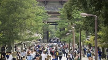 Nara, Japonya - 10 Nisan 2025: Ziyaretçiler Japonya 'nın Nara kentindeki büyüleyici Todai-ji Tapınağı' nı keşfederek tarihi mimarinin tadını çıkarıyorlar.