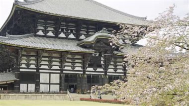 Nara, Japonya - 10 Nisan 2025: Ziyaretçiler Japonya 'nın Nara kentindeki büyüleyici Todai-ji Tapınağı' nı keşfederek tarihi mimarinin tadını çıkarıyorlar.