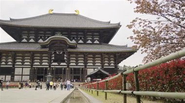 Nara, Japonya - 10 Nisan 2025: Ziyaretçiler etkileyici Todai-ji Tapınağına hayran kaldılar. Tarihi yapı mevsimin zengin renklerine karşı ayakta duruyor..