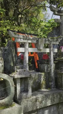 Kyoto, Japonya - 9 Nisan 2025: Her biri geleneksel karakterlerle işlenmiş küçük kırmızı torii kapıları. Sahne Japon kültürünün güzelliğini yakalar. Fushimi Inari türbesi. Dikey video