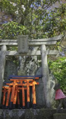 Kyoto, Japonya - 9 Nisan 2025: Her biri geleneksel karakterlerle işlenmiş küçük kırmızı torii kapıları. Sahne Japon kültürünün güzelliğini yakalar. Fushimi Inari türbesi. Dikey video