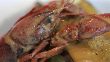 Bir midye kabuğu ve beyaz bir tabakta kremalı otla pişirilmiş kerevitin tamamını kapat.