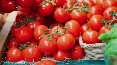 Pazarda domates toplayan bir kadının elini kapat.