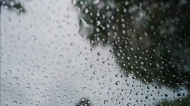 Yağmur damlalarını yakın bir pencereye, ağaçların manzaralı ve bulutlu bir gökyüzüne