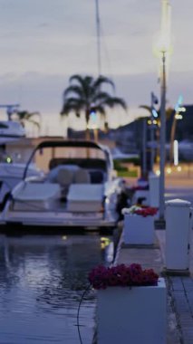 Arka planda güneş batarken Vauban Limanı 'na yanaşmış pembe petunya çiçeklerini kapatın. Dikey