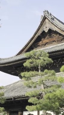 İlkbahar sükuneti sırasında Kyoto 'nun tarihi bahçelerindeki nefes kesici kiraz çiçeklerini keşfedin.