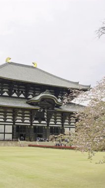 Japonya 'nın Nara kentindeki Todai Ji Tapınağını keşfedin, büyüleyici mimarisi ve sakin çevresiyle