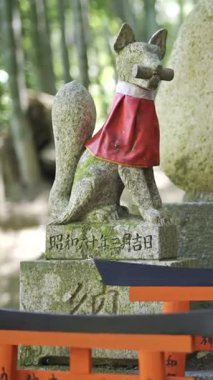 Kyoto, Japonya - 9 Nisan 2025: Kırmızı bez giyen bir tilki heykeli, huzurlu bir ormandaki küçük kırmızı torii kapılarıyla tamamlanmış bir türbede duruyor. Kyoto, Japonya, Fushimi Inari