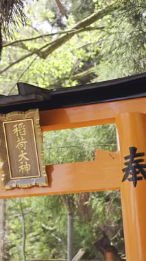 Kyoto, Japonya - 9 Nisan 2025: Canlı bir torii kapısı gururla çiçek açan kiraz çiçekleriyle çevrili duruyor. Metin Çevirisi: 