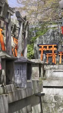 Kyoto, Japonya - 9 Nisan 2025: Antik Japon tapınakları canlı kırmızı torii kapılarıyla süslenmiştir. Fushimi Inari