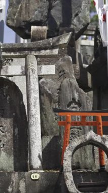 Kyoto, Japonya - 9 Nisan 2025: Antik Japon tapınakları canlı kırmızı torii kapılarıyla süslenmiştir. Fushimi Inari