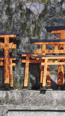 Kyoto, Japonya - 9 Nisan 2025: Antik Japon tapınakları canlı kırmızı torii kapılarıyla süslenmiştir. Fushimi Inari