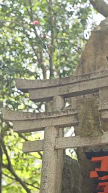 Kyoto, Japonya - 10 Nisan 2025: Taştan kemerleri ve canlı kırmızı torii kapılarıyla Fushimi Inari 'de bir türbe görkemli bir şekilde duruyor. Torii kapılarında Japonca insanlar ve okul isimleri yazılı..