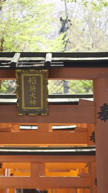 Kyoto, Japonya - 9 Nisan 2025: Canlı bir torii kapısı gururla çiçek açan kiraz çiçekleriyle çevrili duruyor. Metin Çevirisi: 