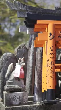 Kyoto, Japonya - 9 Nisan 2025: Her biri sembolik dini karakterlerle işlenmiş kırmızı torii kapılarıyla süslenmiş huzurlu bir tapınak keşfet.