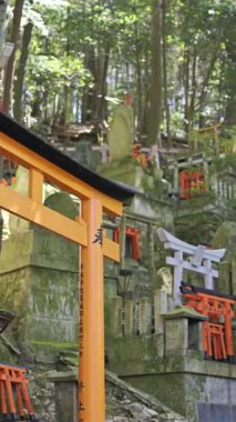 Kyoto, Japonya - 9 Nisan 2025: Antik Japon tapınakları canlı kırmızı torii kapılarıyla süslenmiştir. Fushimi Inari