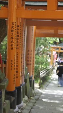 Kyoto, Japonya - 9 Nisan 2025 Fushimi Inari türbesinin çarpıcı kırmızı torii kapıları yemyeşil ile çevrili.