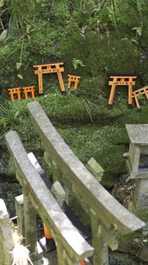 Kyoto, Japonya - 9 Nisan 2025: Canlı kırmızı torii kapıları ve yeşil yosunlarla süslenmiş antik Japon türbeleri. Fushimi Inari