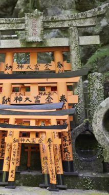Kyoto, Japonya - 9 Nisan 2025: Canlı kırmızı torii kapıları ve yeşil yosunlarla süslenmiş antik Japon türbeleri. Fushimi Inari