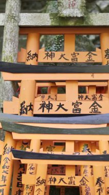 Kyoto, Japonya - 9 Nisan 2025: Canlı kırmızı torii kapıları ve yeşil yosunlarla süslenmiş antik Japon türbeleri. Fushimi Inari