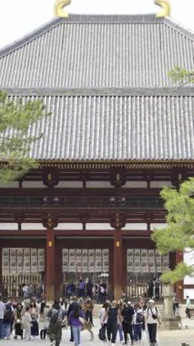 Nara, Japonya - 10 Nisan 2025: Büyüleyici kiraz çiçeklerinin yanında yürüyen ziyaretçiler. Todai-ji Chumon Budist Tapınağı Merkez Kapısı