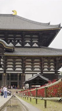 Nara, Japonya - 10 Nisan 2025: Ziyaretçiler etkileyici Todai-ji Tapınağına hayran kaldılar. Tarihi yapı mevsimin zengin renklerine karşı ayakta duruyor..