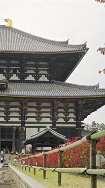 Nara, Japonya - 10 Nisan 2025: Nara 'daki Todai-ji Tapınağı' nda turist sayısı