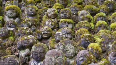 Japonya 'nın Kyoto kentindeki Otagi Nenbutsuji Tapınağı' ndaki tapınak arazisinin etrafını yosun kaplı heykeller kaplıyor.