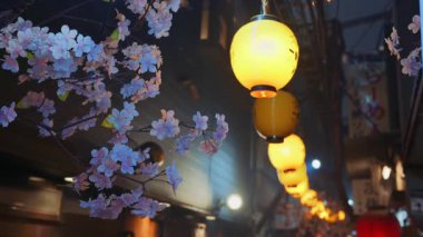 Işıklı kağıt fenerler Omoide Yokocho Anı Yolu 'nda kiraz çiçeği süslemeleri ile asılı.