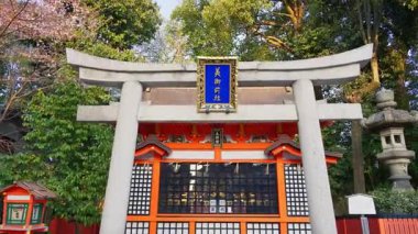 Kyoto, Japonya - 11 Nisan 2025: Yasaka türbesinin taş torii kapısı gün batımında kiraz ağaçlarıyla çevrili. Tercümesi: 