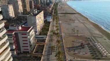 Alicante, İspanya - 20 Haziran 2025: Plaj yakınlarındaki bir gezinti alanındaki palmiye ağaçlarının ve şehrin kıyı şeridi boyunca uzanan binaların insansız hava aracı görüntüsü