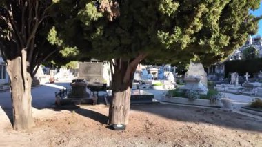 Nice, Fransa - 16 Temmuz 2025: Süslü mermer heykeller, mezar taşları ve açık mavi gökyüzünün altındaki uzun selvi ağaçları ile huzurlu bir mezarlık.