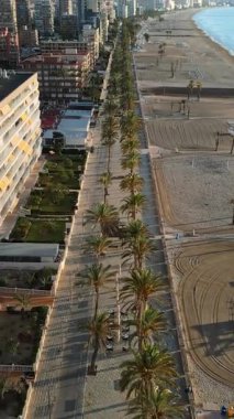 Sahile yakın bir güvertede palmiye ağaçlarının ve şehrin kıyı şeridi boyunca binaların insansız hava aracı görüntüsü. Dikey, Alicante