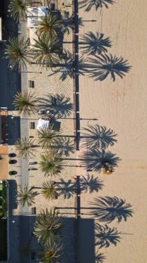 İspanya 'nın Alicante plajındaki palmiye ağaçlarıyla dolu bir güvertede yürüyen insanların insansız hava aracı görüntüsü. Dikey