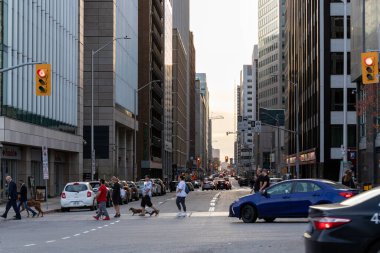 Ottawa, Kanada - 5 Kasım 2022: insanlar şehir merkezinde karşıdan karşıya geçiyor. Sokakta trafiğin olduğu şehir manzarası. Şehirde yaya geçidi