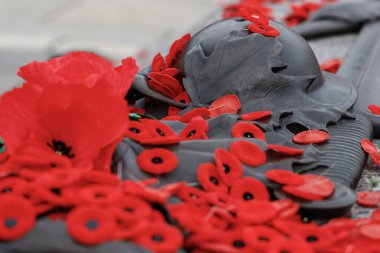 Kanada 'nın Ottawa şehrinde Meçhul Askerin Mezarı' nda kırmızı gelincikler