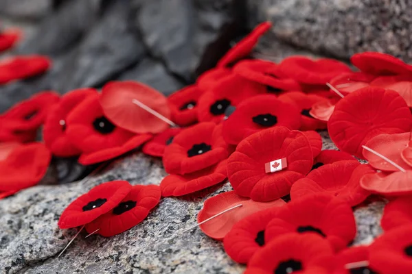 stock image Remembrance Day red poppy flowers on Tomb of the Unknown Soldier in Ottawa, Canada