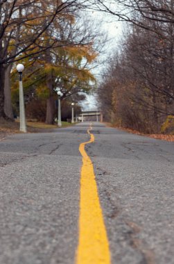 Sonbahar sezonunda parkta yürüyüş, koşu ya da bisiklet yapma yolu. Bisiklet yolu