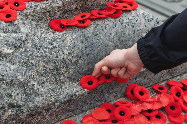 stock image People put poppy flowers on Tomb of the Unknown Soldier in Ottawa, Canada on Remembrance Day