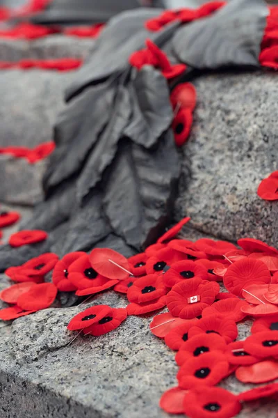 stock image Remembrance Day red poppy flowers on Tomb of the Unknown Soldier in Ottawa, Canada