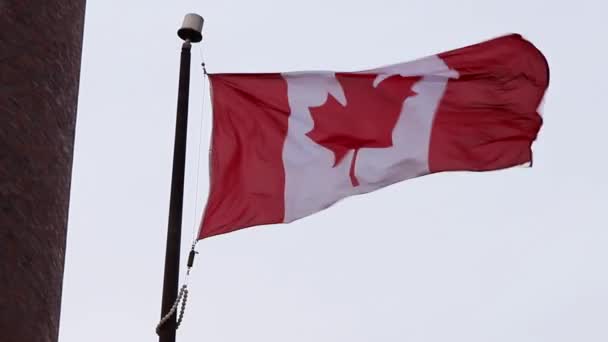 加拿大渥太华大楼附近的加拿大国旗与天空抗衡 — 图库视频影像