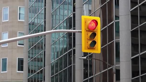 Semáforos Mudando Vermelho Para Verde Rua Com Edifícios Centro Cidade — Vídeo de Stock
