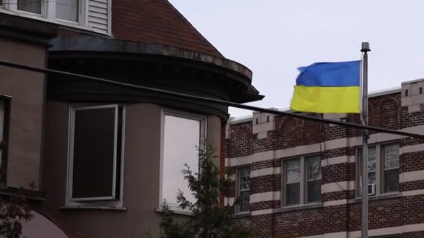 2022年11月6日 加拿大渥太华 乌克兰大使馆领事处 悬挂乌克兰国旗 — 图库视频影像
