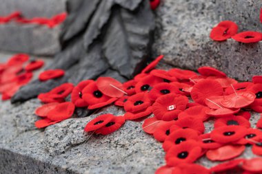 Anma Günü kırmızı gelincik çiçekleri Ottawa, Kanada 'daki Meçhul Asker' in Mezarı 'nda