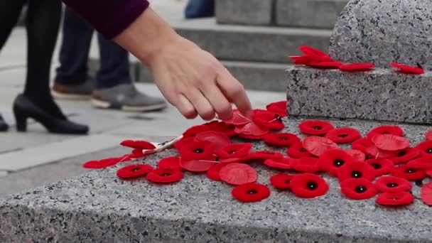 Mensen Zetten Papaverbloemen Graf Van Onbekende Soldaat Ottawa Canada Herdenkingsdag — Stockvideo