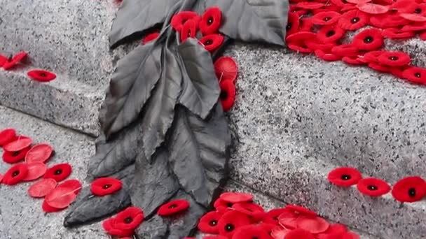 День Памяти Гробница Неизвестного Солдата Оттаве Канада Покрытая Красными Маками — стоковое видео