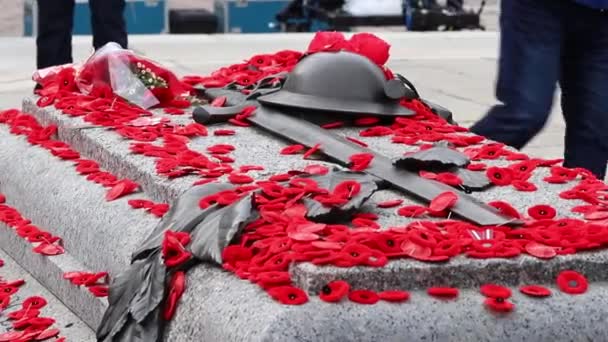 カナダのオタワでの記念日 人々は未知の兵士の墓にケシの花を置く — ストック動画