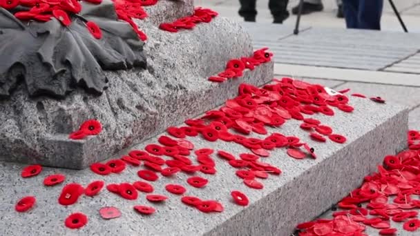 Canadian National War Memorial Tomb Unknown Soldier Covered Poppies — Stockvideo