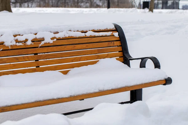 Bench covered with snow in city park. Snowfall in winter season. Cold weather conditions.